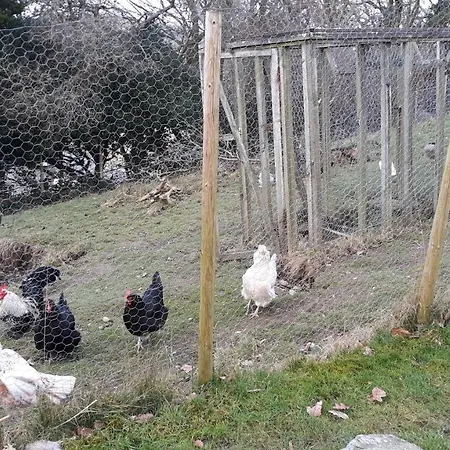 Little Burbank Apartmán