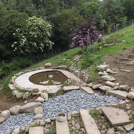 Little Burbank * Windermere