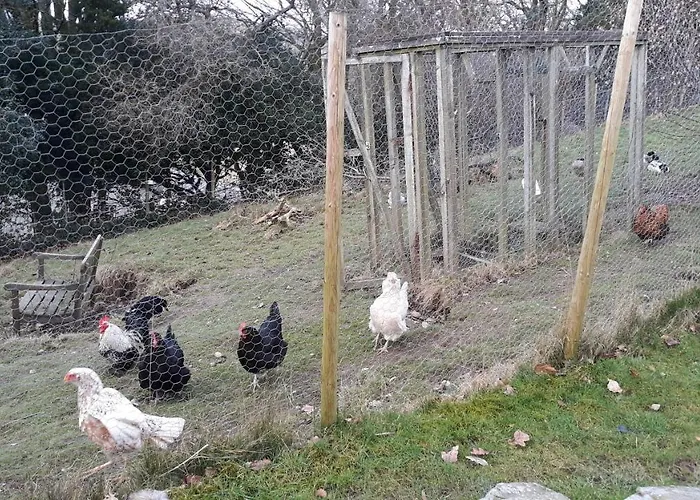 Little Burbank Apartamento