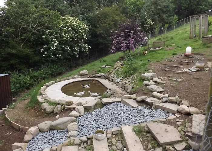 Little Burbank * Windermere